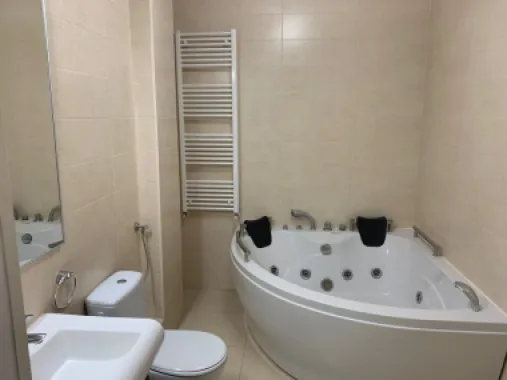 Apartament luminos cu gradina Sos Nordului Parc Herastrau