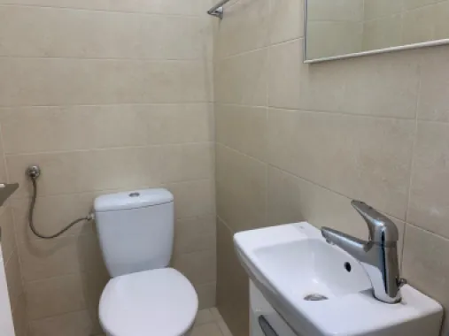 Apartament luminos cu gradina Sos Nordului Parc Herastrau