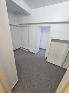 Spatiu Ultracentral Piata Calea Victoriei Moxa Romana
