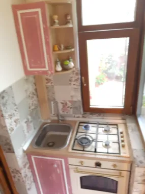 Penthouse cu grădină, beci, magazii, parcare - zona Bucium,