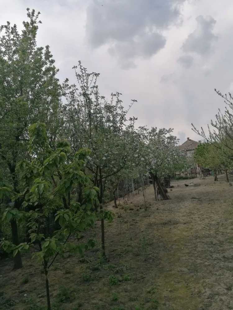 Ag EUROPA vinde casa 6 cam teren 11 ari în zona 14 Mai. - Agenția EUROPA vinde casa cu 6 camere si teren 1100mp în zona 14 Mai.