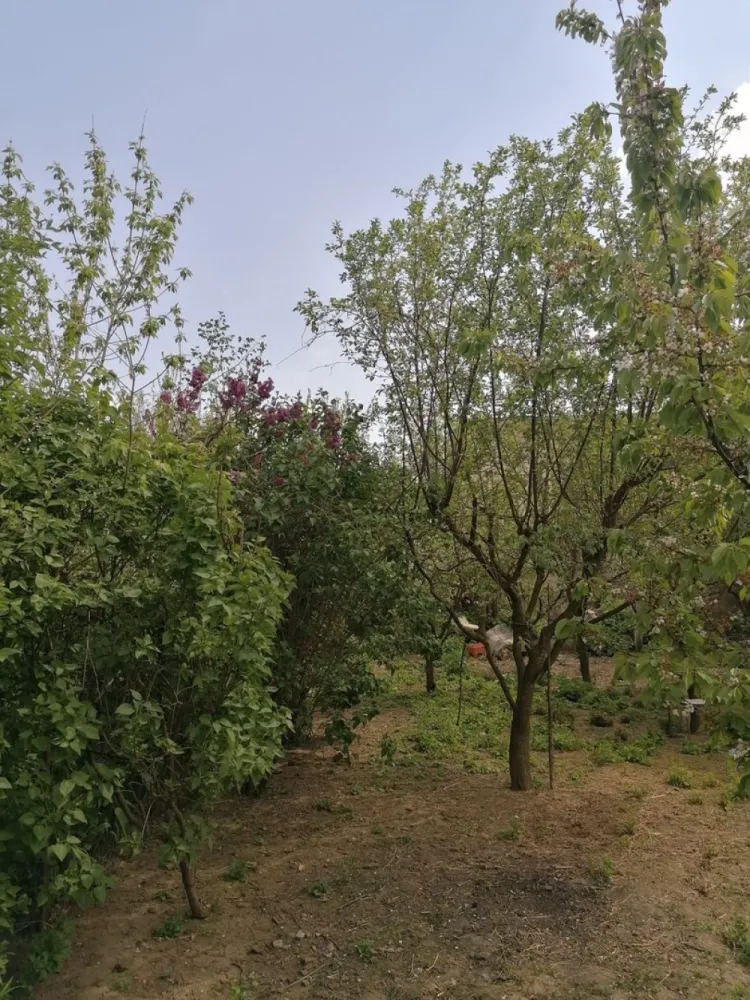 Ag EUROPA vinde casa 6 cam teren 11 ari în zona 14 Mai. - Agenția EUROPA vinde casa cu 6 camere si teren 1100mp în zona 14 Mai.