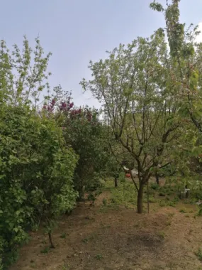Ag EUROPA vinde casa 6 cam teren 11 ari în zona 14 Mai.