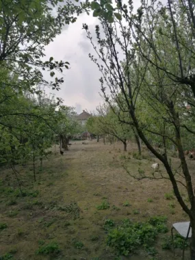 Ag EUROPA vinde casa 6 cam teren 11 ari în zona 14 Mai.
