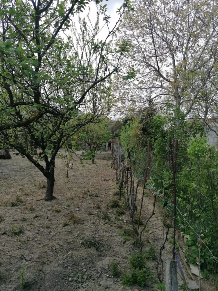 Ag EUROPA vinde casa 6 cam teren 11 ari în zona 14 Mai. - Agenția EUROPA vinde casa cu 6 camere si teren 1100mp în zona 14 Mai.
