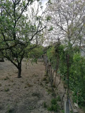 Ag EUROPA vinde casa 6 cam teren 11 ari în zona 14 Mai.