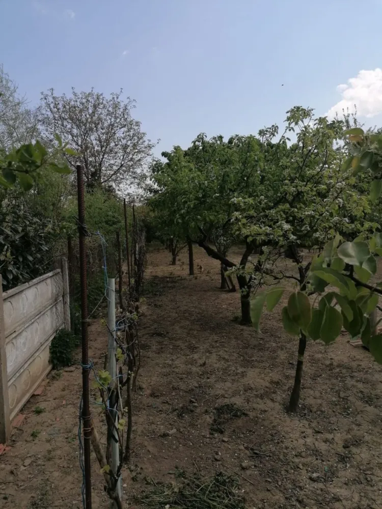 Ag EUROPA vinde casa 6 cam teren 11 ari în zona 14 Mai.