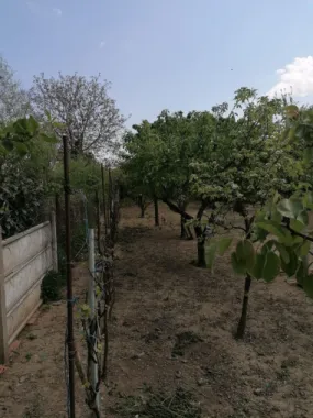 Ag EUROPA vinde casa 6 cam teren 11 ari în zona 14 Mai.