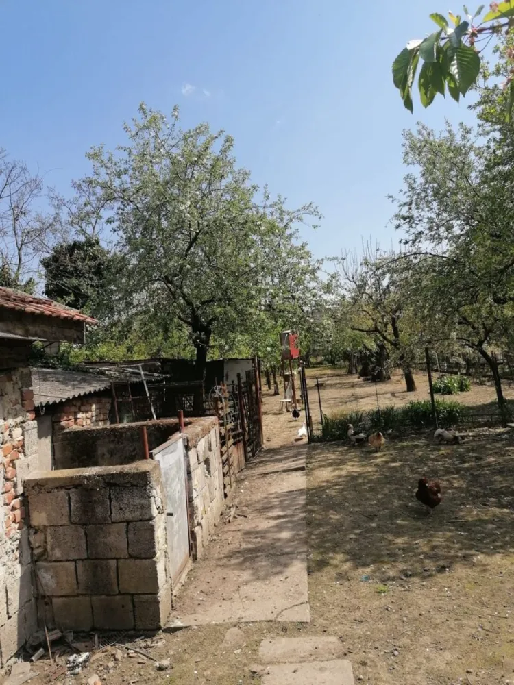 Ag EUROPA vinde casa 6 cam teren 11 ari în zona 14 Mai.