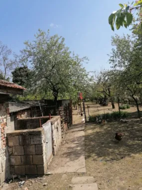 Ag EUROPA vinde casa 6 cam teren 11 ari în zona 14 Mai.