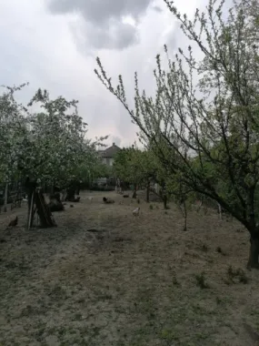 Ag EUROPA vinde casa 6 cam teren 11 ari în zona 14 Mai.