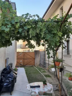 ageuropa.ro vinde casa P+2, duplex, zona Piata Mica