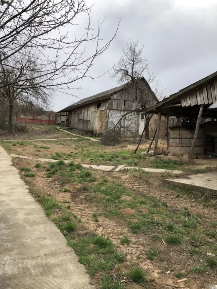 Casa cu teren 27 arii Pir - Vând casă cu grădină în satul Sărvăzel, comuna Pir la 20 de km de Tășnad și la 70 de km de Satu Mare în suprafața de 150mp utili decomandată cu 3 camere, un living, o bucătărie, o baie, 2 holuri, o cămară și o cameră pentru cuptor. Casa dispune de un teren aferent de 27 de arii (2700 mp) împrejmuită cu gard, în curte se mai află o fântână cu apă bună, o pivniță de 20mp, o șură mare și niște cotețe pentru diferite animale. În grădină sunt diferiți pomi fructiferi. Casa este tencuită, bucătăria și baia fiind renovate recent. Utilitățile de care dispune casa sunt curentul și apa, încălzirea este prin sobă cu lemne. Apa caldă este dată de un boiler care merge pe curent electric. Casa are fosă septică. Frontul casei este de 50 de metri. Drumul este asfaltat în sat. Casa se vinde mobilată și utilată. Pret 25.000€ negociabil.
