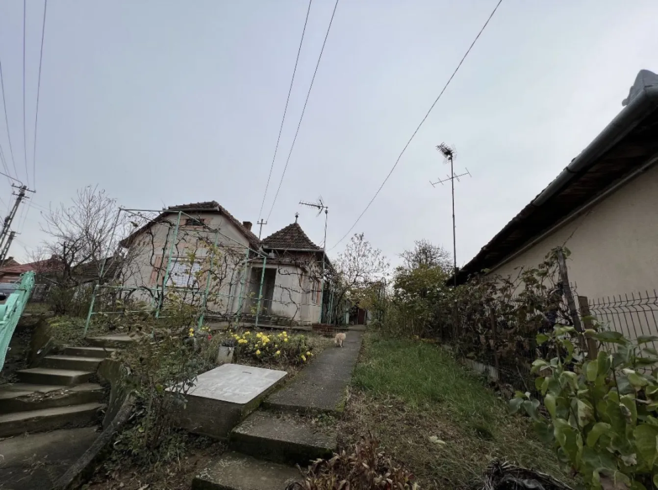 Casa de vanzare in Tasnad, SM oportunitate de investitie - Oportunitate unică de investiție în Tasnad: Casă spațioasă, cu gradina spatioasa cu potențial excepțional de venit. Caracteristici cheie: 4 camere, 2 bucatarii, baie, debara, pod, beci Suprafață de 464mp Curte privată generoasă, perfectă pentru relaxare și divertisment în aer liber Localizare: Statiunea-minune cu cea mai purã apa termalã din România, aflata in Tasnad, jud Satu-Mare vizitat de cca 300.000 oameni lunar. Proprietatea se află într-o zonă linistita din Tasnad, cu acces rapid la centrul orasului, restaurante și statiunea balneara Tasnad. Cu o investiție suplimentară pentru renovare și amenajare în stil Airbnb sau casa de vacanta, această proprietate are potențialul de a genera un profit anual impresionant multumita localizarii. Pentru mai multe detalii sau o vizionare, vă stau la dispozitie la numarul de telefon din anunt.