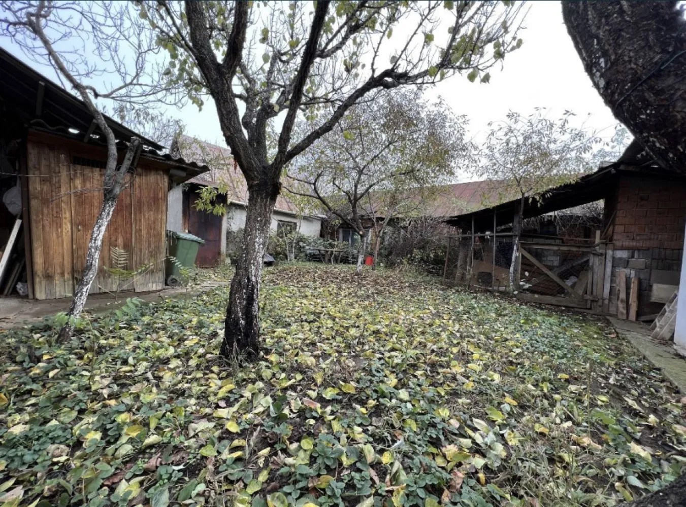 Casa de vanzare in Tasnad, SM oportunitate de investitie
