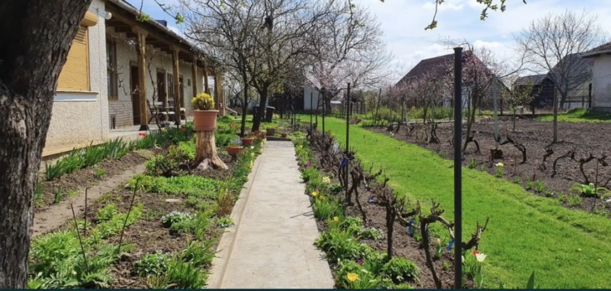 Vand casa in Com.Petresti, ultracentral, 42 ari teren - Vând casă în Com.Petrești, ultracentral, 42 ari teren De vânzare casă familială, tipic șvăbească, situată ultracentral, pe drumul principal DN19 în Com.Petrești. Casa este compusă din: 6 camere, bucătărie, hol, cămară de alimente, pivniță sănătoasă/uscată, 2 grajduri, șură mare, anexe gospodărești. Utilități: apă, curent, 2 sobe de teracotă, canalizare pe stradă, autorizație pentru racordarea la rețeaua de gaz. Suprafețe: casă 250 mp grădină/curte: 18 ari (bine îngrijită, cu pomi fructiferi pe rod și viță de vie, are și o fântână în curte); front dublu cu posibilitatea unei construcții noi pe terenul alăturat teren arabil: 24 ari (bine delimitat de grădină/curte printr-un gard) Casa este cu actele la zi. Preț: 52.000 € ușor negociabil Rog și ofer seriozitate. Nr.telefon: 07******56 zero-şapte-patru-zero-opt-patru-şase-opt-cinci-şase
