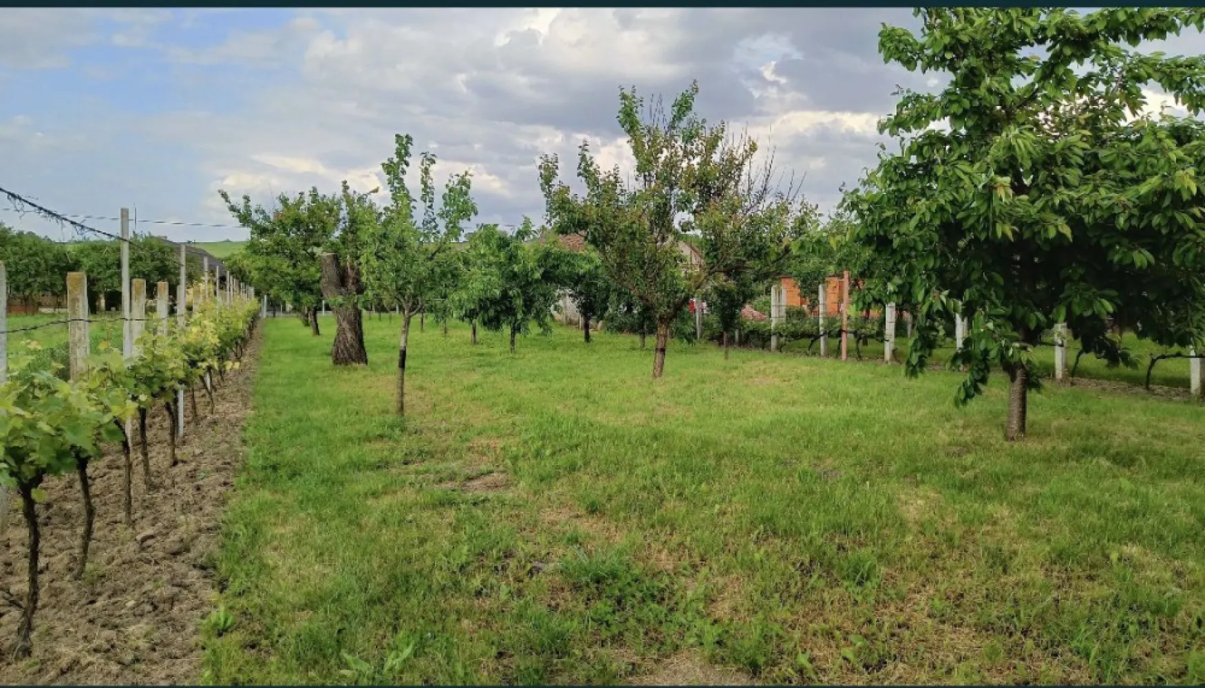 Casa de vanzare in Sacaseni, langa baile termale Tasnad - De vanzare casa de locuit Sp+P+E cu mai multe camere, cu suprafata utila de 175 de mp, asezata pe un teren de 31 de ari localizata in Comuna Sacaseni, langa Baile Termale Tasnad. Casa dispune o curte aranjata cu o livada, cu mai multe anexe si cu doua garaje. Pe teren exista apa forata, casa este conectata pe retea de apa. Casa se poate incalzi cu cazan pe lemn si carbuni dar si cu teracote. Un avantaj in perioada de vara este panoul solar pentu prepararea apei calde. Mai multe detalii si poze: . 0762671356