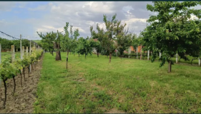 Casa de vanzare in Sacaseni, langa baile termale Tasnad