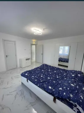 Casa de vanzare Satu Mare Martinesti