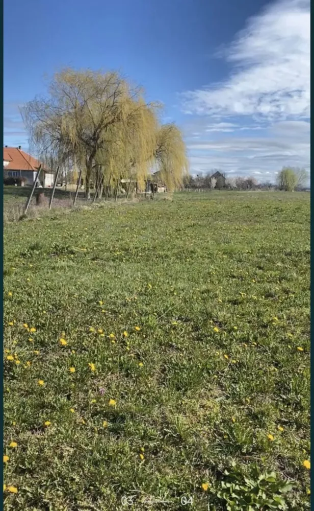 Vind teren intravilan Decebal - Vând teren intravilan in Decebal! 216 ari, cu drum de acces. Pretul este pe ar. Mai multe detalii in privat Tel 07******44