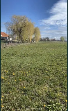 Vind teren intravilan Decebal
