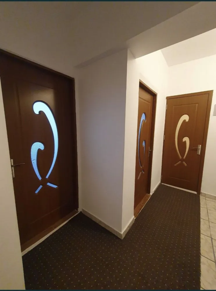 Vand apartament 2 camere