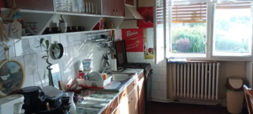 BRASADAS vinde ap 3 cam în casă - zona Botizului.