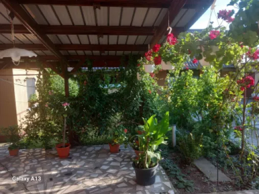 Ag EUROPA vinde casa NOUA individuala în Madaras 4 cam 7 ari 175mp.