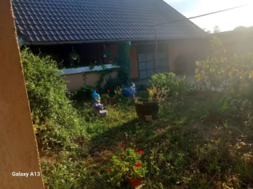 Ag EUROPA vinde casa NOUA individuala în Madaras 4 cam 7 ari 175mp.
