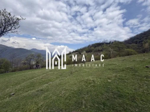 Teren de vânzare, 7750 mp I Orientare sudică I Caineni