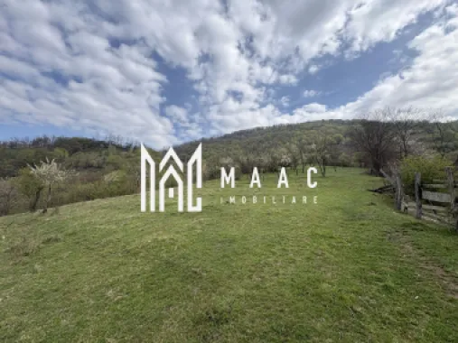 Teren de vânzare, 7750 mp I Orientare sudică I Caineni