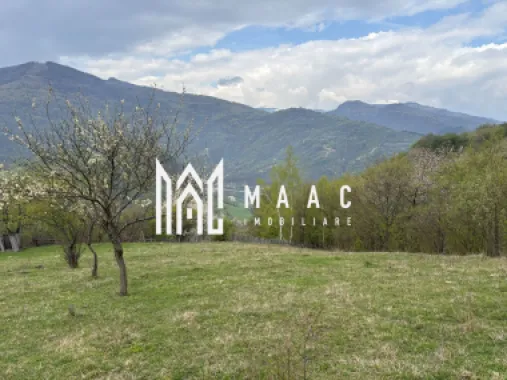 Teren de vânzare, 7750 mp I Orientare sudică I Caineni