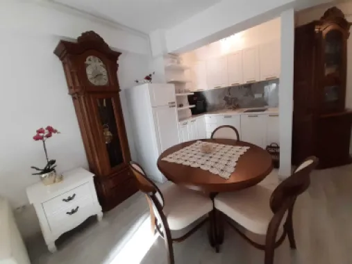 Apartament de lux in inima Copoului.