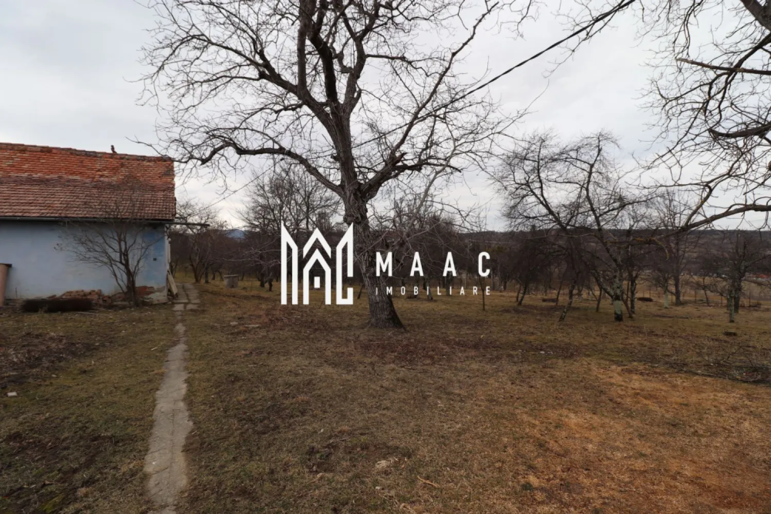 Casă individuală I 4 camere I teren 6000 mp I Cisnădie - MAAC Imobiliare propune spre vanzare o casă, cu atmosferă istorică, primitoare, insorită toată ziua, situată intr-o zonă liniștită din Cisnădie.

Terenul pe care este situată locuința are suprafața de 6000 mp, imprejmuiți cu gard, aferent casei se află un garaj și in spate o anexă, mare parte a terenului este populată de pomi fructiferi (cireși, vișini, meri, peri, pruni, nuci). 

 Suprafata de teren poate fi completata cu inca o portiune de 4080 mp pentru un pret negociabil stabilit la momentul achizitiei . 

Casa este structurată astfel:
-parter: living, bucătărie inchisă, wc de serviciu, hol, casa scări
-etaj: 3 camere decomandate, baie cu duș si geam, hol. 

Locuința are pivniță generoasă si terasă. 

Pentru mai multe informatii si vizionari precizati telefonic ca ati vazut anuntul cu ID: CP1442244