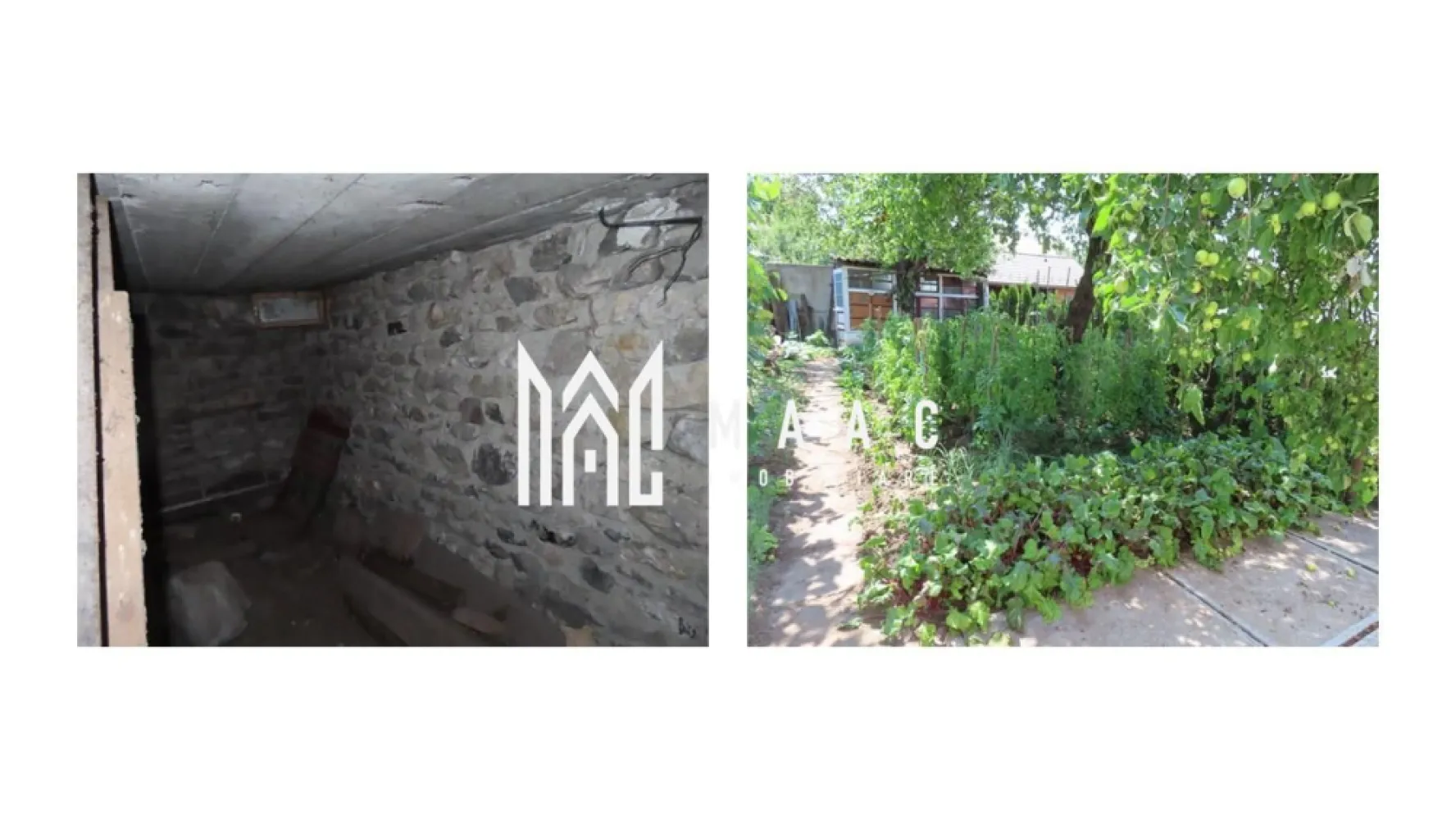 Casă individuală I 2 corpuri I Garaj I Grădină I Mediaș - MAAC Imobiliare vă propune o casă singur în curte, pe o stradă liniștită din Mediaș, la 14 minute de mers pe jos de centru, amplasată pe un teren de 360 mp și compusă din două corpuri: o casă veche locuibilă și o casă nouă cu structură finalizată, de finisat după preferințe. Casa veche — 70 mp Compartimentare: 3 camere, bucătărie, cămară, antreu, baie. Stare: locuibilă, parțial mobilată. Modernizări: baie modernizată (chiuvetă, WC, baterii, cazan, țevi de cupru aparente); ferestre termopan în antreu; 5 uși înlocuite cu modele noi; instalație electrică modernizată, cu panou nou de siguranțe. Încălzire: două sobe mari de teracotă, reconstruite, cu 8 fumuri. Casa nouă — 98,77 mp total Parter (54,77 mp): bucătărie 19,69 mp, cămară, garaj 22,67 mp, acces la pivniță. Mansardă (44 mp): 3 camere decomandate din hol + WC de serviciu. Pivniță (12,89 mp): pereți din piatră de cuarț, potrivită pentru depozitare sau adăpost. Acoperiș: refăcut în 2006 (consolidare, astereală completă, țiglă nouă). Stadiu: construcția a fost oprită după structură și acoperiș; finisajele și termoizolația rămân la alegerea viitorului proprietar. Exterior și anexe Curte pavată cu zonă pentru terasă, spațiu pentru grătar și petreceri în aer liber. Grădină îngrijită, însorită, cu viță de vie și pomi. Magazie utilă pentru depozitare. Utilități: apa pluvială din curte este racordată la canalizare. Documente și disponibilitate Certificat de performanță energetică emis la 12.07.2024. Proprietate liberă, cu ocupare imediată după finalizarea vânzării. Vizionări: proprietatea este deschisă clienților interesați. De ce merită văzută Două corpuri pe același teren: locuiești imediat în casa veche și îți finisezi casa nouă după gust și buget. Liniște, curte proprie și grădină însorită, la distanță pietonală de centru. Îți dorești liniște aproape de centru și libertatea de a-ți personaliza locuința? Programează o vizionare, specificând ID CP2664831. }}