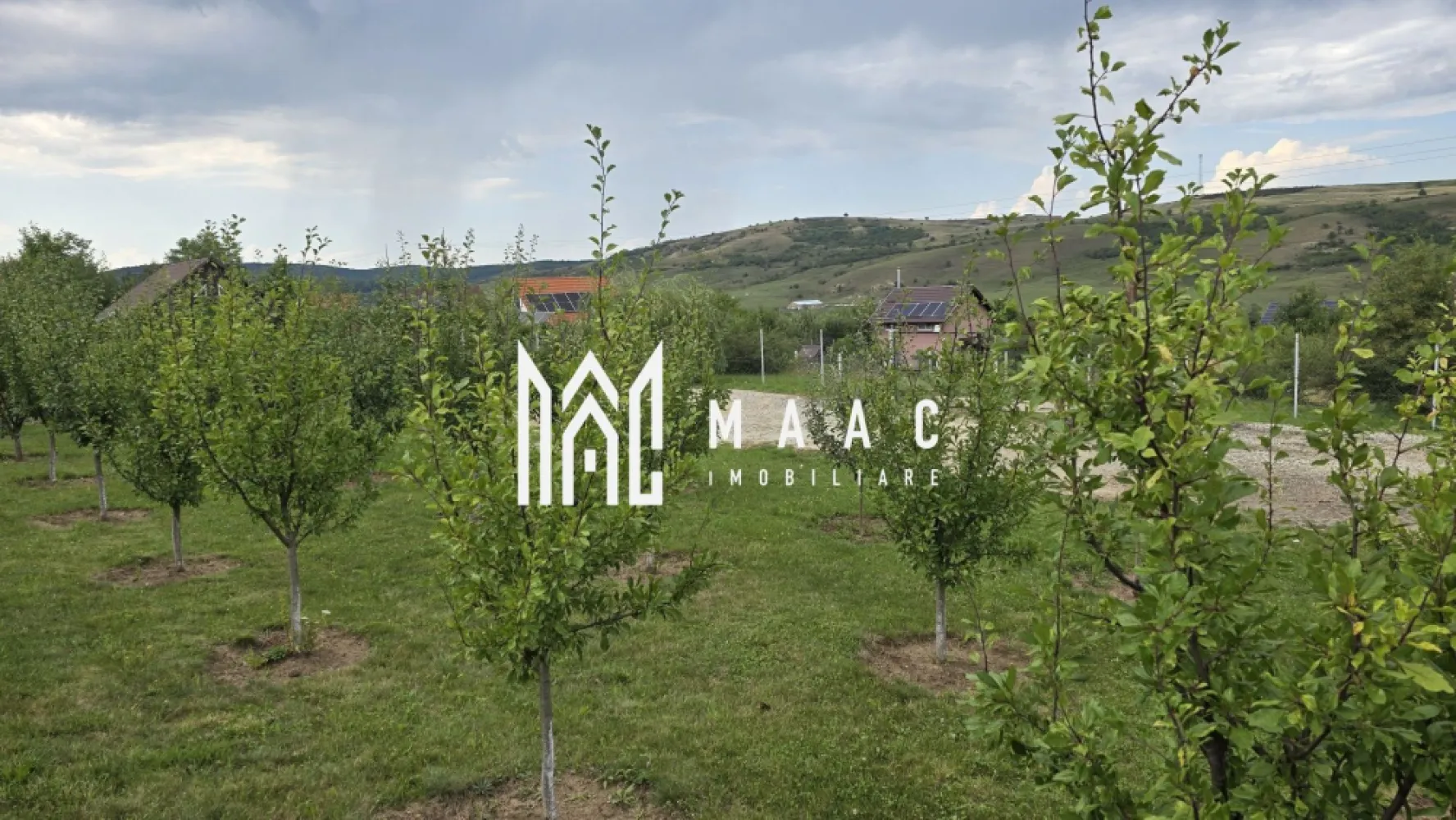 Teren Intravilan | 670 Mp | Daia - MACC Imobiliare vă oferă spre vânzare un teren intravilan situat într-o zonă deosebită, în Daia, comuna Roșia, la doar 15 minute de Sibiu. -Suprafață teren: 670 mp - Dimensiuni: 27,2 m x 24 m - Acces: la două drumuri - Împrejmuit, cu poartă de acces de 5 metri Amenajări existente: -Aproximativ 30 de pomi fructiferi (diverse soiuri, cu vârsta de 4–5 ani) -Viță de vie plantată pe două laturi ale terenului - Zona: liniștită, cu case și cabane construite în apropiere - Priveliște superbă, într-o zonă în continuă dezvoltare Acest teren este ideal pentru construirea unei case de vacanță sau a unei locuințe permanente, într-un cadru natural relaxant, dar cu acces facil către Sibiu. Pentru mai multe detalii, te rugăm să ne contactezi, menționând ID:CP2658173 }}