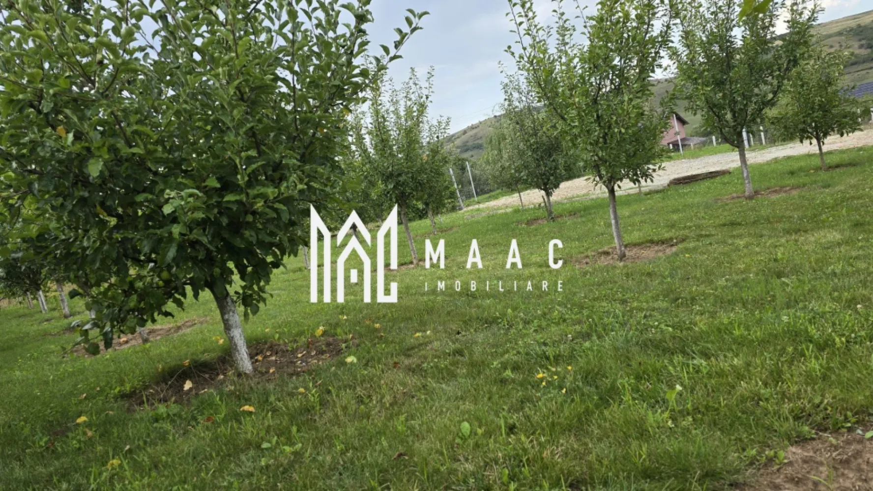 Teren Intravilan | 670 Mp | Daia - MACC Imobiliare vă oferă spre vânzare un teren intravilan situat într-o zonă deosebită, în Daia, comuna Roșia, la doar 15 minute de Sibiu. -Suprafață teren: 670 mp - Dimensiuni: 27,2 m x 24 m - Acces: la două drumuri - Împrejmuit, cu poartă de acces de 5 metri Amenajări existente: -Aproximativ 30 de pomi fructiferi (diverse soiuri, cu vârsta de 4–5 ani) -Viță de vie plantată pe două laturi ale terenului - Zona: liniștită, cu case și cabane construite în apropiere - Priveliște superbă, într-o zonă în continuă dezvoltare Acest teren este ideal pentru construirea unei case de vacanță sau a unei locuințe permanente, într-un cadru natural relaxant, dar cu acces facil către Sibiu. Pentru mai multe detalii, te rugăm să ne contactezi, menționând ID:CP2658173 }}