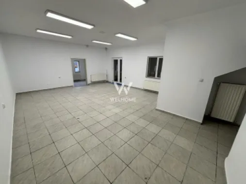 Casa cu POTENȚIAL pentru afaceri, DEPOZIT 50mp - Turnisor