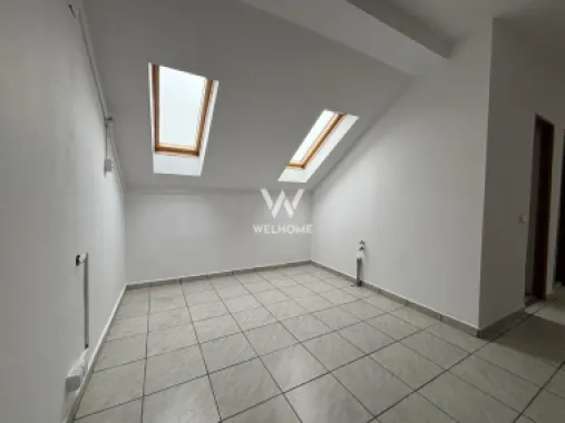 Casa cu POTENȚIAL pentru afaceri, DEPOZIT 50mp - Turnisor