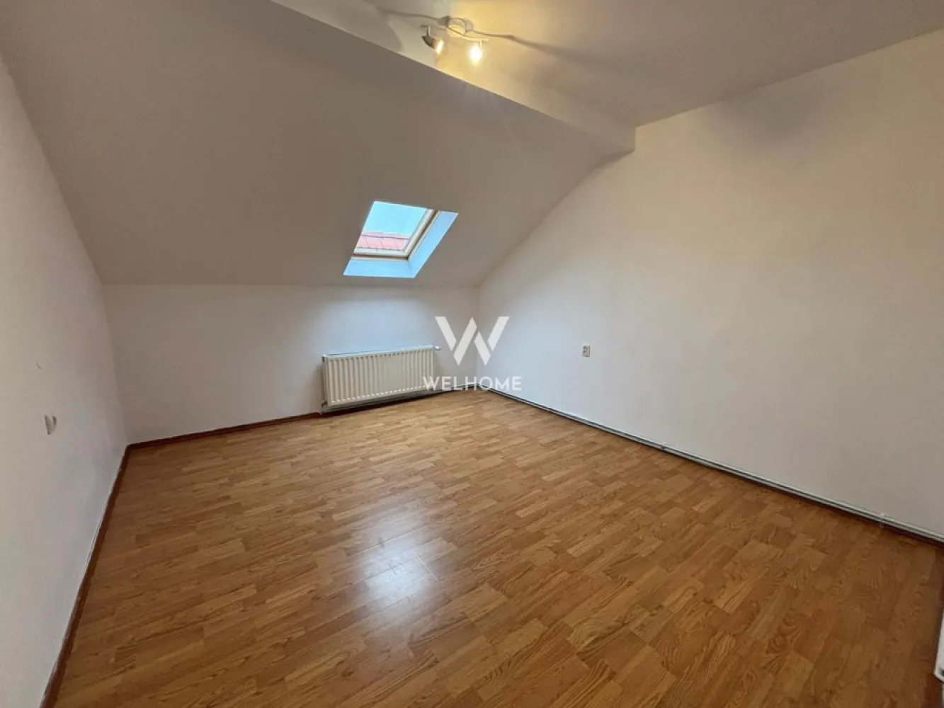 Casa cu POTENȚIAL pentru afaceri, DEPOZIT 50mp - Turnisor