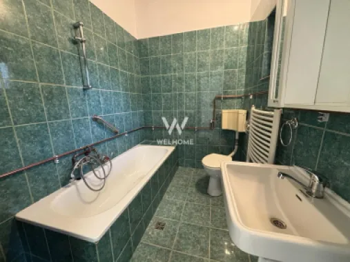 Casa cu POTENȚIAL pentru afaceri, DEPOZIT 50mp - Turnisor