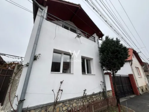 Casa cu POTENȚIAL pentru afaceri, DEPOZIT 50mp - Turnisor