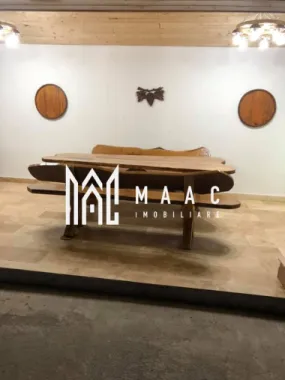 Casă / Vilă cu 6 camere + Casa/Vila cu 2 camere | zona Terezian