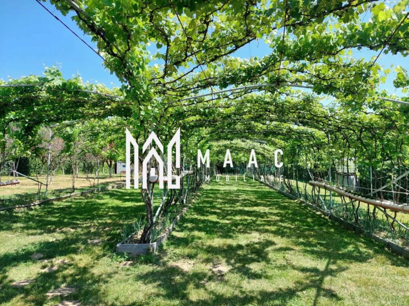 Teren | Intravilan 2.166 Mp | Construcție existenta | Pădurea Dumbrava - MACC Imobiliare vă propune spre vânzare un teren intravilan amplasat într-o zonă naturală deosebit de liniștită, în Tropinii Noi, Sibiu, la doar 10 minute de orașul Sibiu și 5 minute de comuna Rășinari, în apropierea Pădurii Dumbrava – un cadru ideal pentru relaxare și retragere din agitația urbană. Caracteristici teren: Suprafață totală: 2.166 mp (compus din două parcele alăturate, fiecare de 1.083 mp) Teren intravilan, cu încadrare pentru construcție de casă de vacanță Construcție existentă pe una dintre parcele: 35,75 mp, formată din 2 camere, cu posibilitate de mansardare – ideală pentru locuire temporară sau extindere ulterioară Acces dublu: atât dinspre strada principală, cât și lateral Drum de acces neasfaltat Utilitățile nu sunt pe teren, dar pot fi aduse cu ușurință de la strada principală Împrejmuit cu gard viu În zonă există intenție de elaborare PUZ – detalii suplimentare la cerere Pentru mai multe informații sau pentru a programa o vizionare, nu ezitați să ne contactați ID :CP2618354 }}