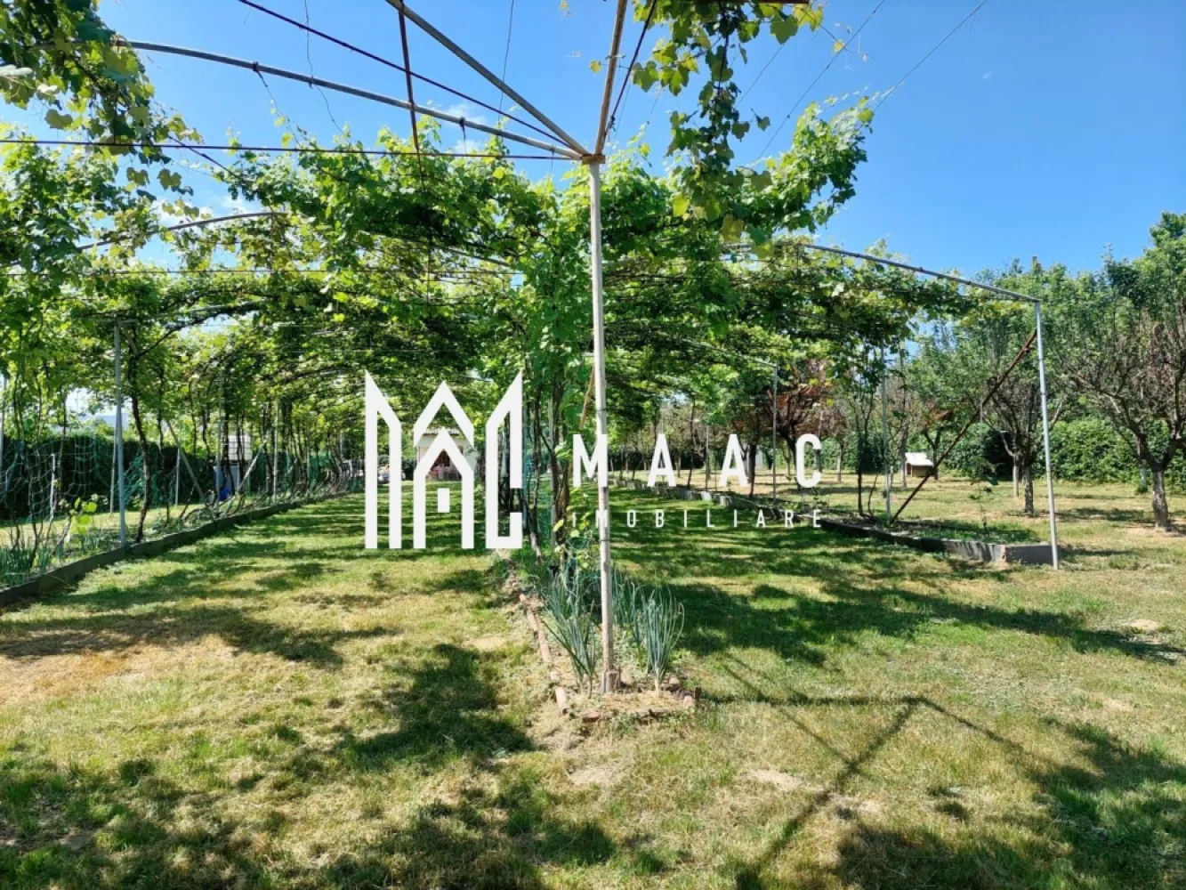 Teren | Intravilan 2.166 Mp | Construcție existenta | Pădurea Dumbrava - MACC Imobiliare vă propune spre vânzare un teren intravilan amplasat într-o zonă naturală deosebit de liniștită, în Tropinii Noi, Sibiu, la doar 10 minute de orașul Sibiu și 5 minute de comuna Rășinari, în apropierea Pădurii Dumbrava – un cadru ideal pentru relaxare și retragere din agitația urbană. Caracteristici teren: Suprafață totală: 2.166 mp (compus din două parcele alăturate, fiecare de 1.083 mp) Teren intravilan, cu încadrare pentru construcție de casă de vacanță Construcție existentă pe una dintre parcele: 35,75 mp, formată din 2 camere, cu posibilitate de mansardare – ideală pentru locuire temporară sau extindere ulterioară Acces dublu: atât dinspre strada principală, cât și lateral Drum de acces neasfaltat Utilitățile nu sunt pe teren, dar pot fi aduse cu ușurință de la strada principală Împrejmuit cu gard viu În zonă există intenție de elaborare PUZ – detalii suplimentare la cerere Pentru mai multe informații sau pentru a programa o vizionare, nu ezitați să ne contactați ID :CP2618354 }}