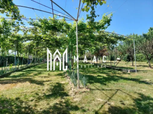 Teren | Intravilan 2.166 Mp | Construcție existenta | Pădurea Dumbrava