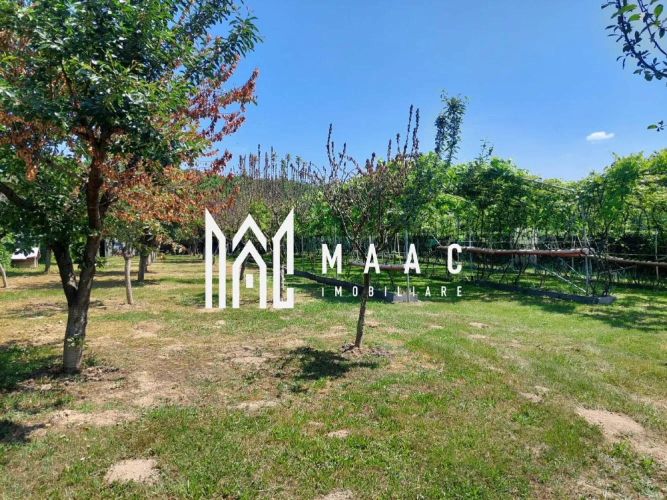 Teren | Intravilan 2.166 Mp | Construcție existenta | Pădurea Dumbrava - MACC Imobiliare vă propune spre vânzare un teren intravilan amplasat într-o zonă naturală deosebit de liniștită, în Tropinii Noi, Sibiu, la doar 10 minute de orașul Sibiu și 5 minute de comuna Rășinari, în apropierea Pădurii Dumbrava – un cadru ideal pentru relaxare și retragere din agitația urbană. Caracteristici teren: Suprafață totală: 2.166 mp (compus din două parcele alăturate, fiecare de 1.083 mp) Teren intravilan, cu încadrare pentru construcție de casă de vacanță Construcție existentă pe una dintre parcele: 35,75 mp, formată din 2 camere, cu posibilitate de mansardare – ideală pentru locuire temporară sau extindere ulterioară Acces dublu: atât dinspre strada principală, cât și lateral Drum de acces neasfaltat Utilitățile nu sunt pe teren, dar pot fi aduse cu ușurință de la strada principală Împrejmuit cu gard viu În zonă există intenție de elaborare PUZ – detalii suplimentare la cerere Pentru mai multe informații sau pentru a programa o vizionare, nu ezitați să ne contactați ID :CP2618354 }}