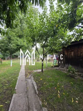 Apartament 1 camera I Gradina I Investitie I Zona Centrala