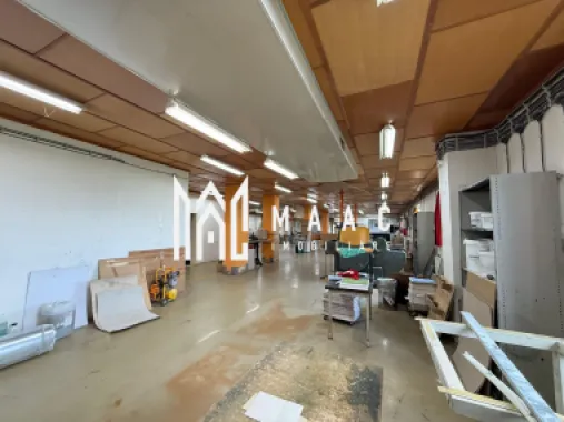 Hala 500MP + Teren 1300MP | Utilitati | Lacul lui Binder