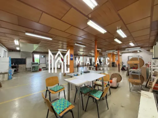 Hala 500MP + Teren 1300MP | Utilitati | Lacul lui Binder